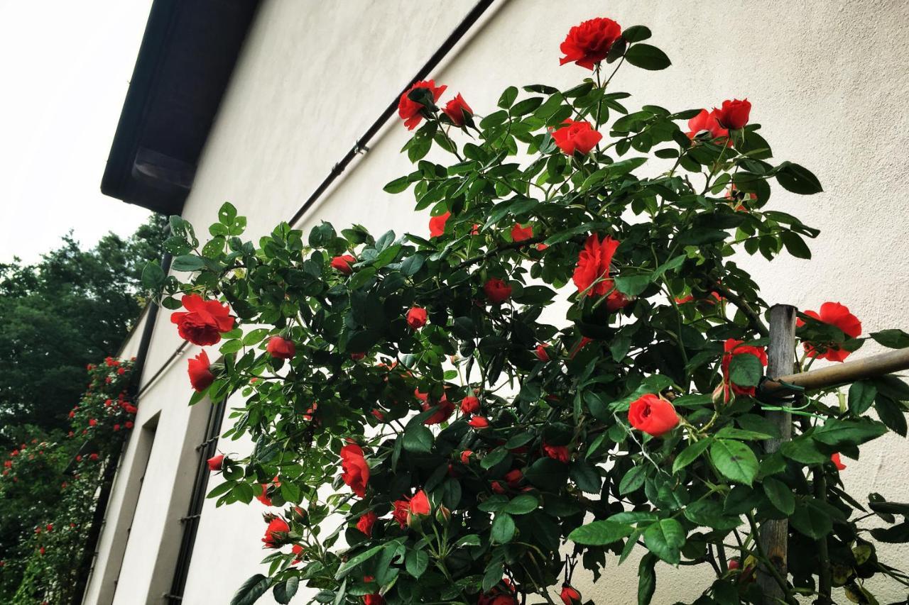 Due Fiumi 1908 Bed & Breakfast